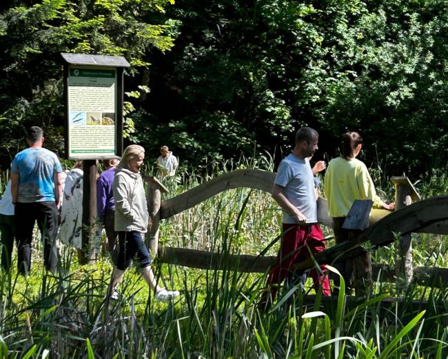 Fotorelacja: Warsztaty oddechowe </br>10 - 12.10.2025